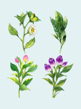 Çiçek yaprakları koleksiyonunun su rengi vektörü