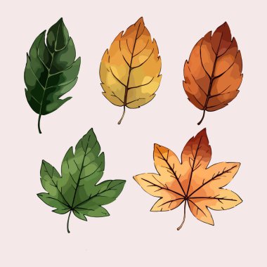 Çiçek yaprakları koleksiyonunun su rengi vektörü