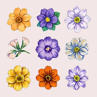 Çiçek yaprakları koleksiyonunun su rengi vektörü