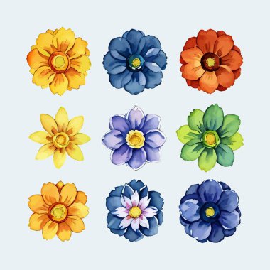 Çiçek yaprakları koleksiyonunun su rengi vektörü