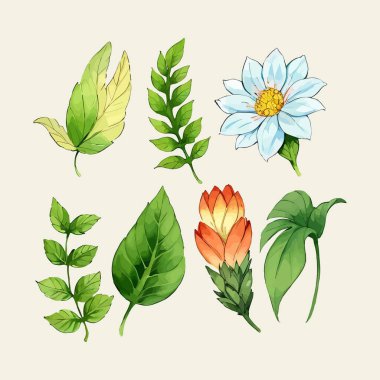 Çiçek yaprakları koleksiyonunun su rengi vektörü