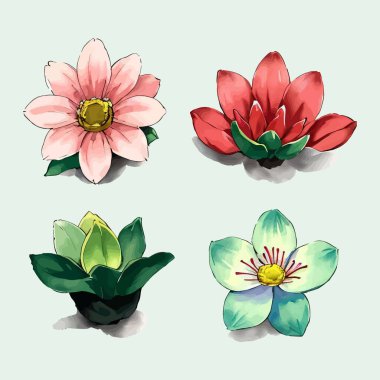 Çiçek yaprakları koleksiyonunun su rengi vektörü