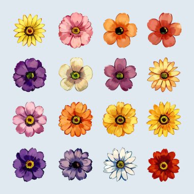 Çiçek yaprakları koleksiyonunun su rengi vektörü