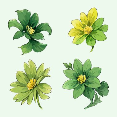 Çiçek yaprakları koleksiyonunun su rengi vektörü