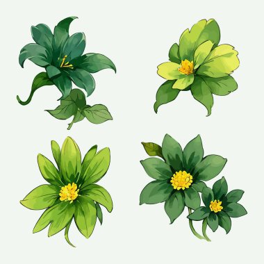 Çiçek yaprakları koleksiyonunun su rengi vektörü