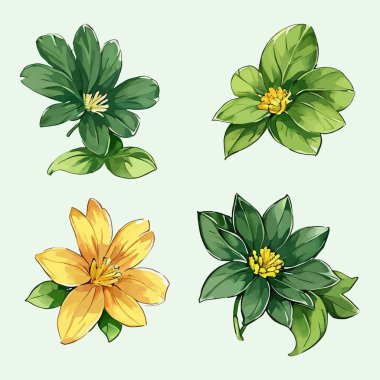 Çiçek yaprakları koleksiyonunun su rengi vektörü