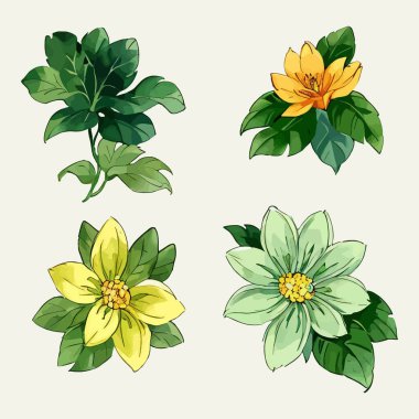 Çiçek yaprakları koleksiyonunun su rengi vektörü