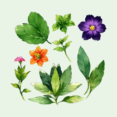 Çiçek yaprakları koleksiyonunun su rengi vektörü