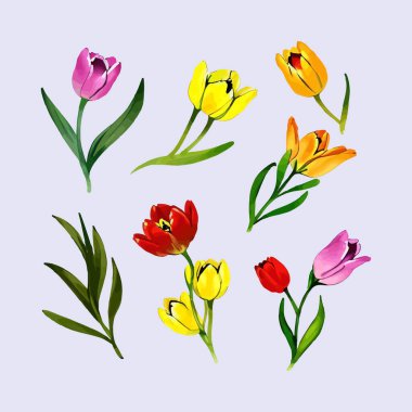 Çiçek yaprakları koleksiyonunun su rengi vektörü