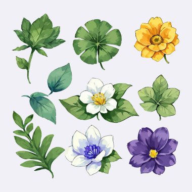 Çiçek yapraklarından oluşan suluboya vektör kümesi resimleme