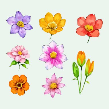 Çiçek yapraklarından oluşan suluboya vektör kümesi resimleme