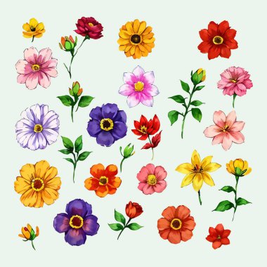 Çiçek yapraklarından oluşan suluboya vektör kümesi resimleme