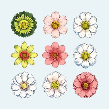 Çiçek yapraklarından oluşan suluboya vektör kümesi resimleme