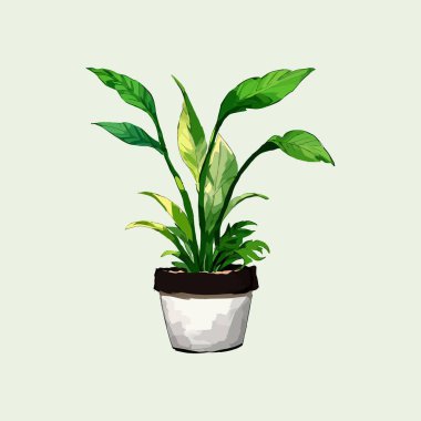 Suluboya vektör çiçeği ve vazoda yapraklar 