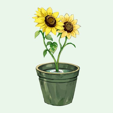 Suluboya vektörü Güneş Çiçeği ve vazoda bırakır 