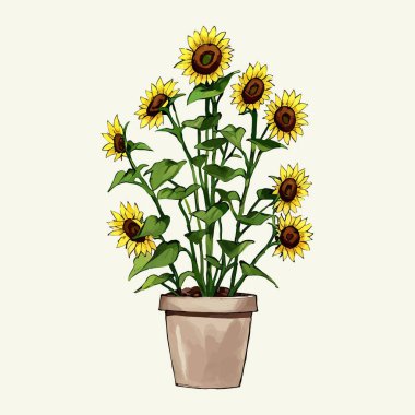 Suluboya vektör çiçeği ve vazoda yapraklar 