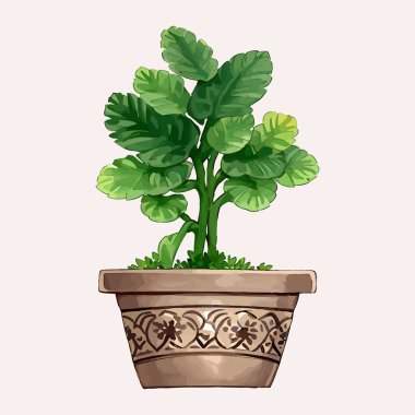 Suluboya vektörü Kaktüs ve saksı vazosuna bahçe bitkileri için bitki bırakıyor