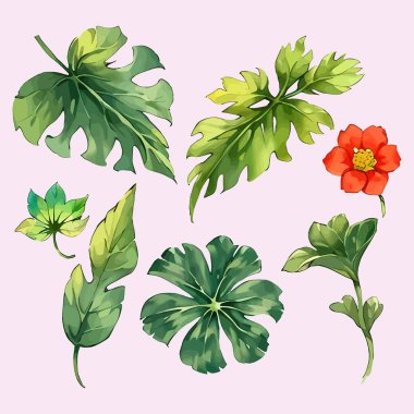 Suluboya vektör kümesi düğün kartı illüstrasyonu için çiçek koleksiyonundan ayrılır