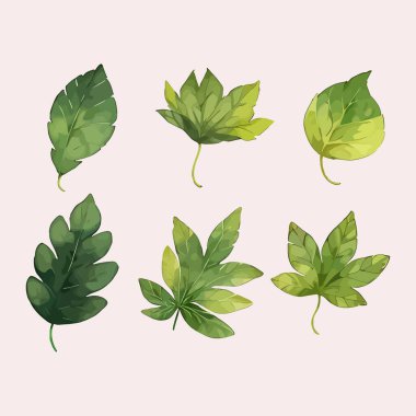 Suluboya vektör kümesi düğün kartı illüstrasyonu için çiçek koleksiyonundan ayrılır