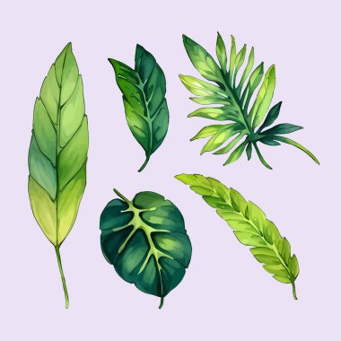 Suluboya vektör kümesi düğün kartı illüstrasyonu için çiçek koleksiyonundan ayrılır