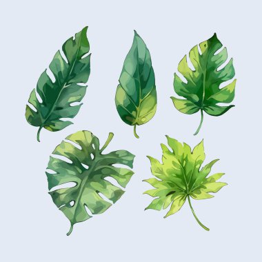 Suluboya vektör kümesi düğün kartı illüstrasyonu için çiçek koleksiyonundan ayrılır