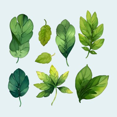 Suluboya vektör kümesi düğün kartı illüstrasyonu için çiçek koleksiyonundan ayrılır