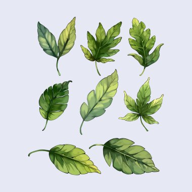 Suluboya vektör kümesi düğün kartı illüstrasyonu için çiçek koleksiyonundan ayrılır