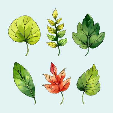 Suluboya vektör kümesi düğün kartı illüstrasyonu için çiçek koleksiyonundan ayrılır