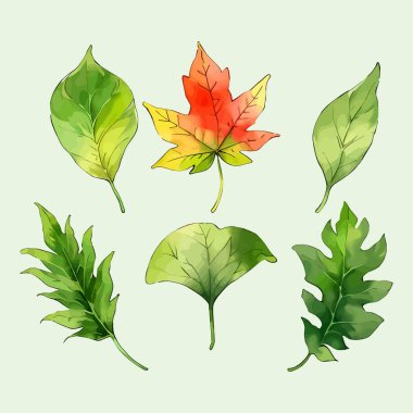 Suluboya vektör kümesi düğün kartı illüstrasyonu için çiçek koleksiyonundan ayrılır