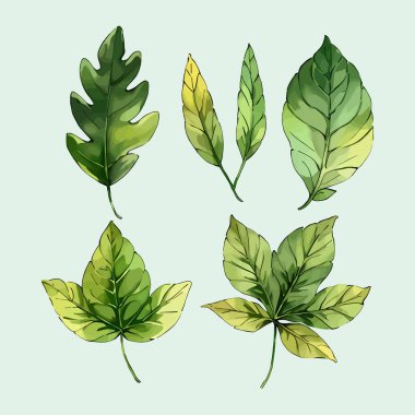 Suluboya vektör kümesi düğün kartı illüstrasyonu için çiçek koleksiyonundan ayrılır