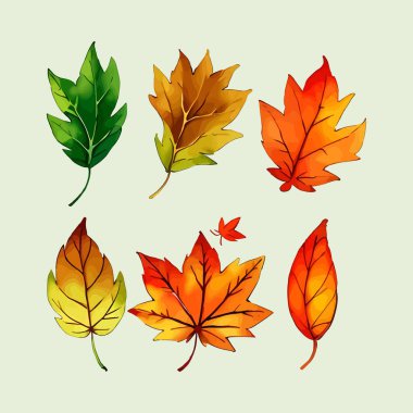 Suluboya vektör kümesi düğün kartı illüstrasyonu için çiçek koleksiyonundan ayrılır