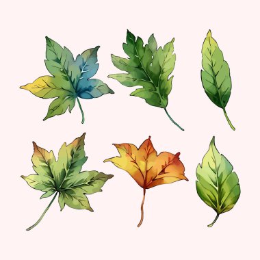 Suluboya vektör kümesi düğün kartı illüstrasyonu için çiçek koleksiyonundan ayrılır