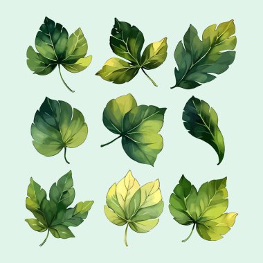 Suluboya vektör kümesi düğün kartı illüstrasyonu için çiçek koleksiyonundan ayrılır