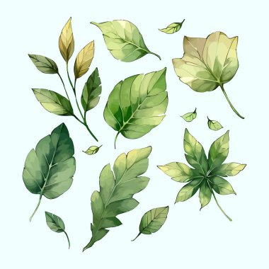 Suluboya vektör kümesi düğün kartı illüstrasyonu için çiçek koleksiyonundan ayrılır