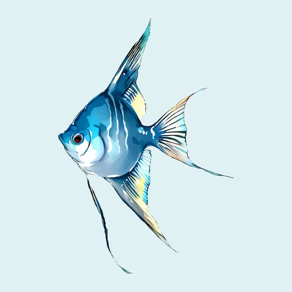 Su Rengi vektörü melek balığı çizimi