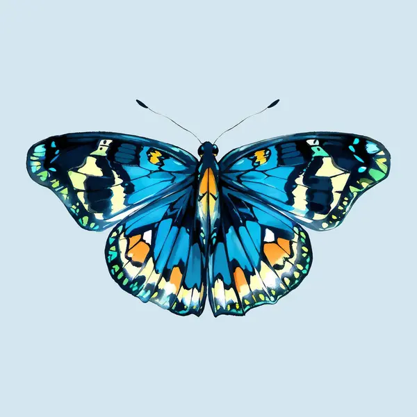 Mavi Kelebek Su Rengi Vektörü