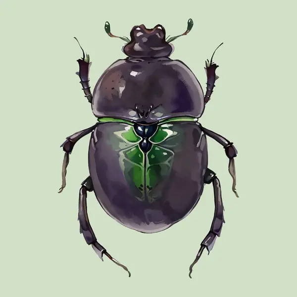 Su rengi vektörü Böcek çizimi