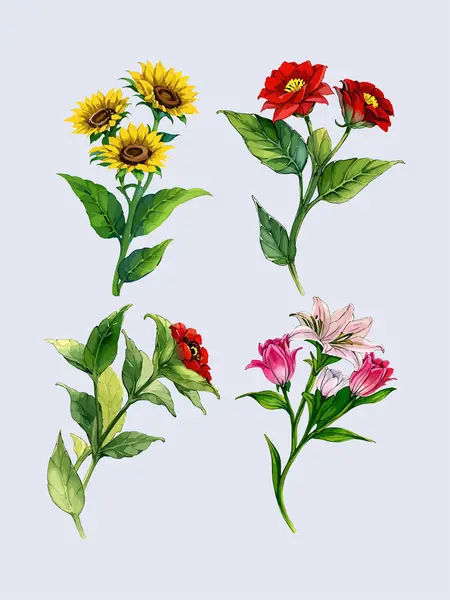 Çiçek yaprakları koleksiyonunun su rengi vektörü