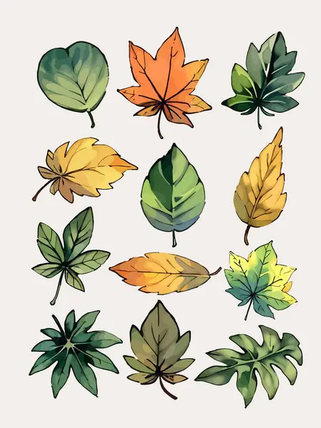 Çiçek yaprakları koleksiyonunun su rengi vektörü