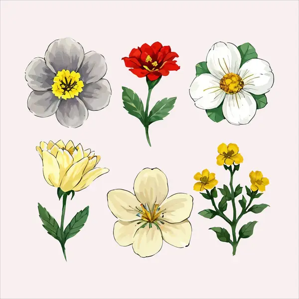 Çiçek yaprakları koleksiyonunun su rengi vektörü