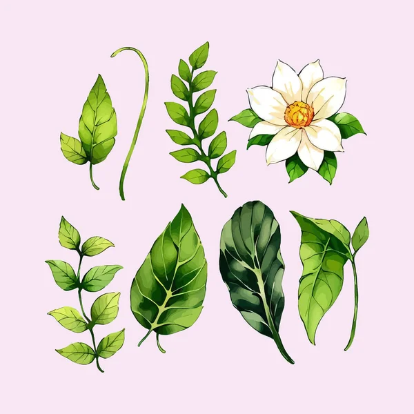 Çiçek yaprakları koleksiyonunun su rengi vektörü