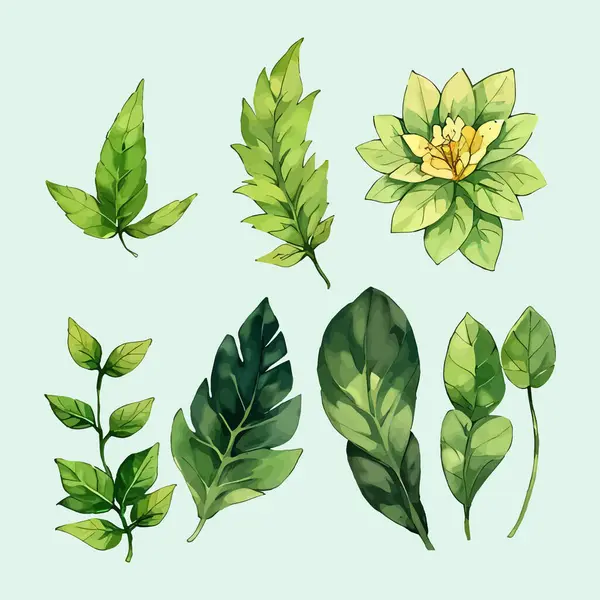 Çiçek yaprakları koleksiyonunun su rengi vektörü