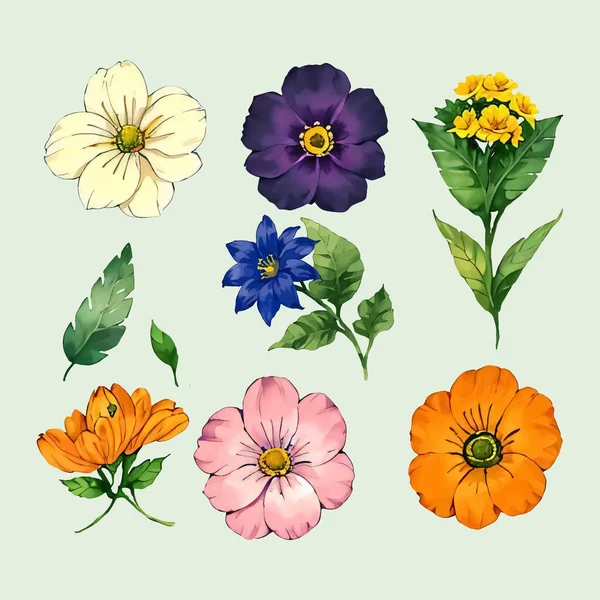 Çiçek yaprakları koleksiyonunun su rengi vektörü