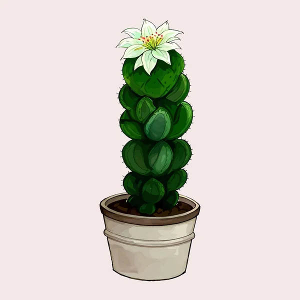 Suluboya vektörü Kaktüs ve saksı vazosuna bahçe bitkileri için bitki bırakıyor