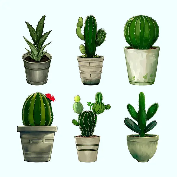 Bahçe bitkileri illüstrasyonu için saksı vazosunda suluboya vektörü Kaktüs bitki koleksiyonu