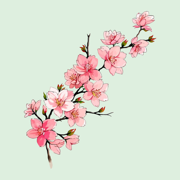 Watercolor vector Cherry blossoms, Sakura Flower, Pink Red Flower for wedding invitation and garden plants illustration