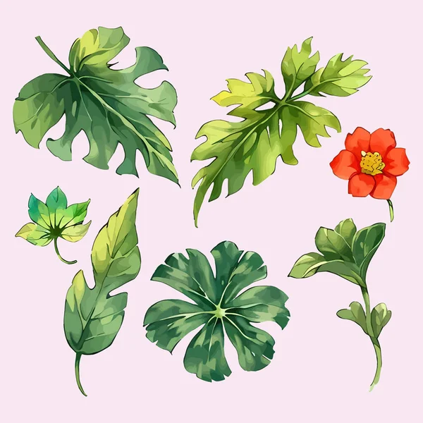 Suluboya vektör kümesi düğün kartı illüstrasyonu için çiçek koleksiyonundan ayrılır