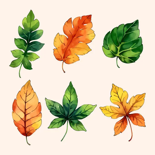 Suluboya vektör kümesi düğün kartı illüstrasyonu için çiçek koleksiyonundan ayrılır