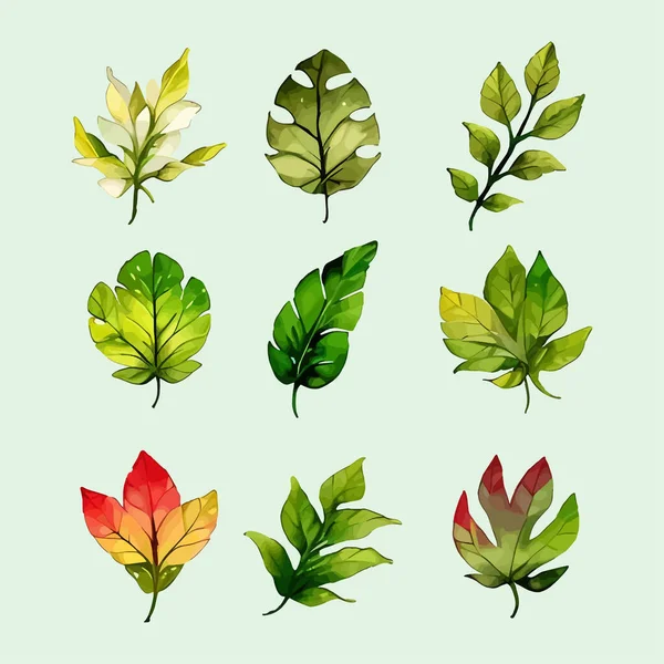 Suluboya vektör kümesi düğün kartı illüstrasyonu için çiçek koleksiyonundan ayrılır