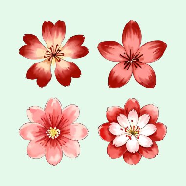 Suluboya vektörü Kiraz Çiçekleri, Sakura Çiçeği, Pembe Çiçek Kırmızı Çiçek Koleksiyonu